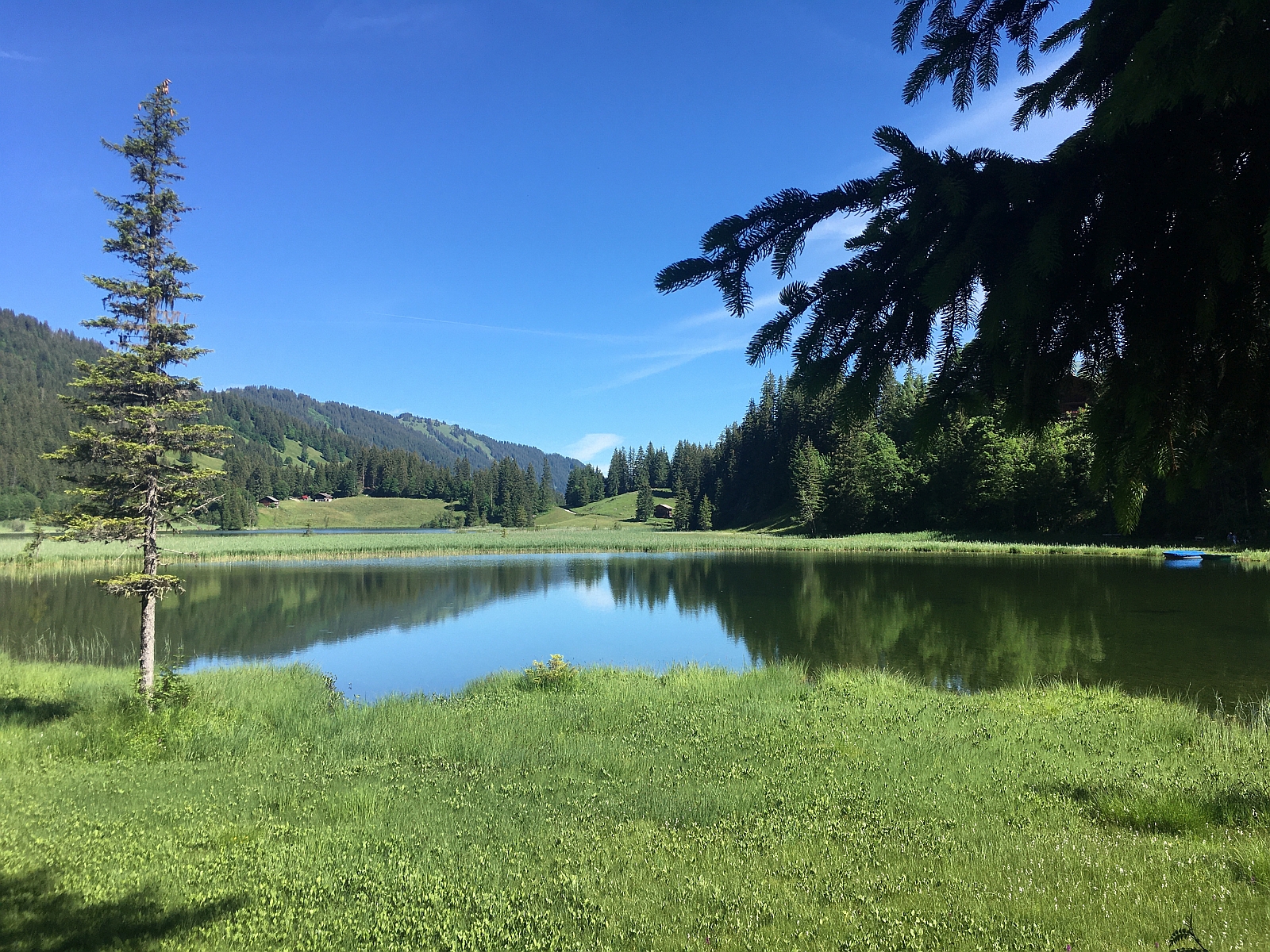 26_26.-27. Juni 21_A JO Bergtour Gaeltehore (100).jpg